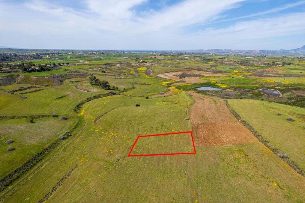 Agricultural field in Palaiometocho, Nicosia photo 6