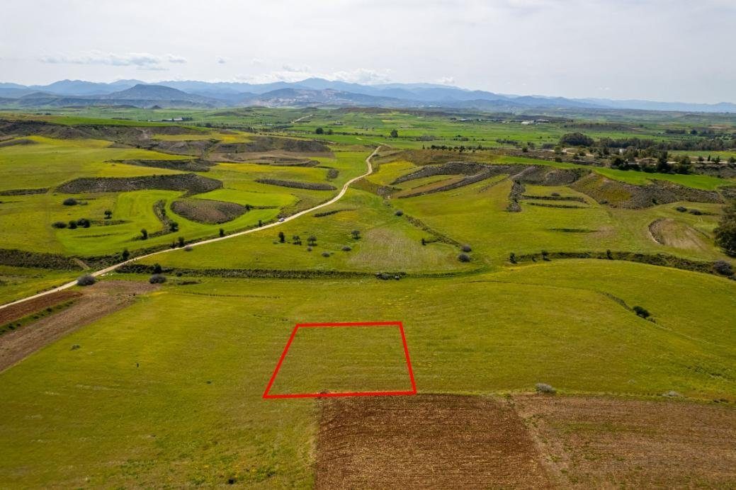 Agricultural field in Palaiometocho, Nicosia photo 5