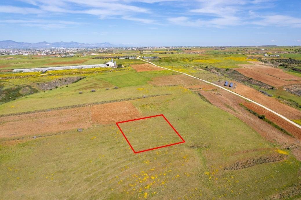 Agricultural field in Palaiometocho, Nicosia photo 1