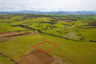 Agricultural field in Palaiometocho, Nicosia thumbnail 4