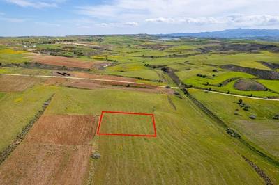 Agricultural field in Palaiometocho, Nicosia thumbnail 3