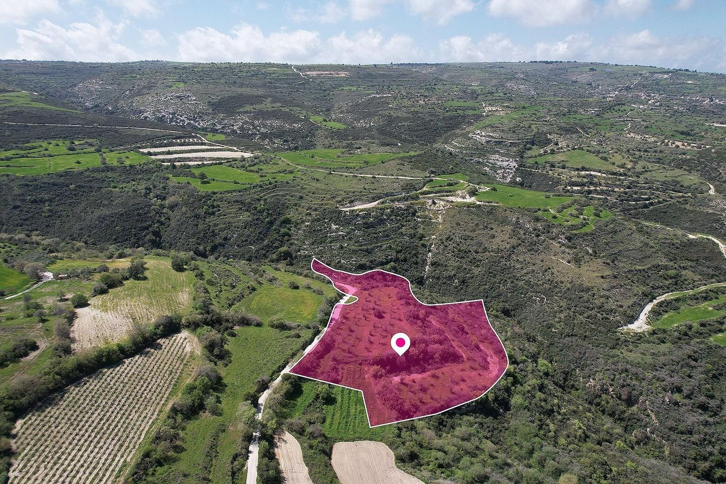 Agricultural field in Pano Akourdaleia, Paphos photo 4