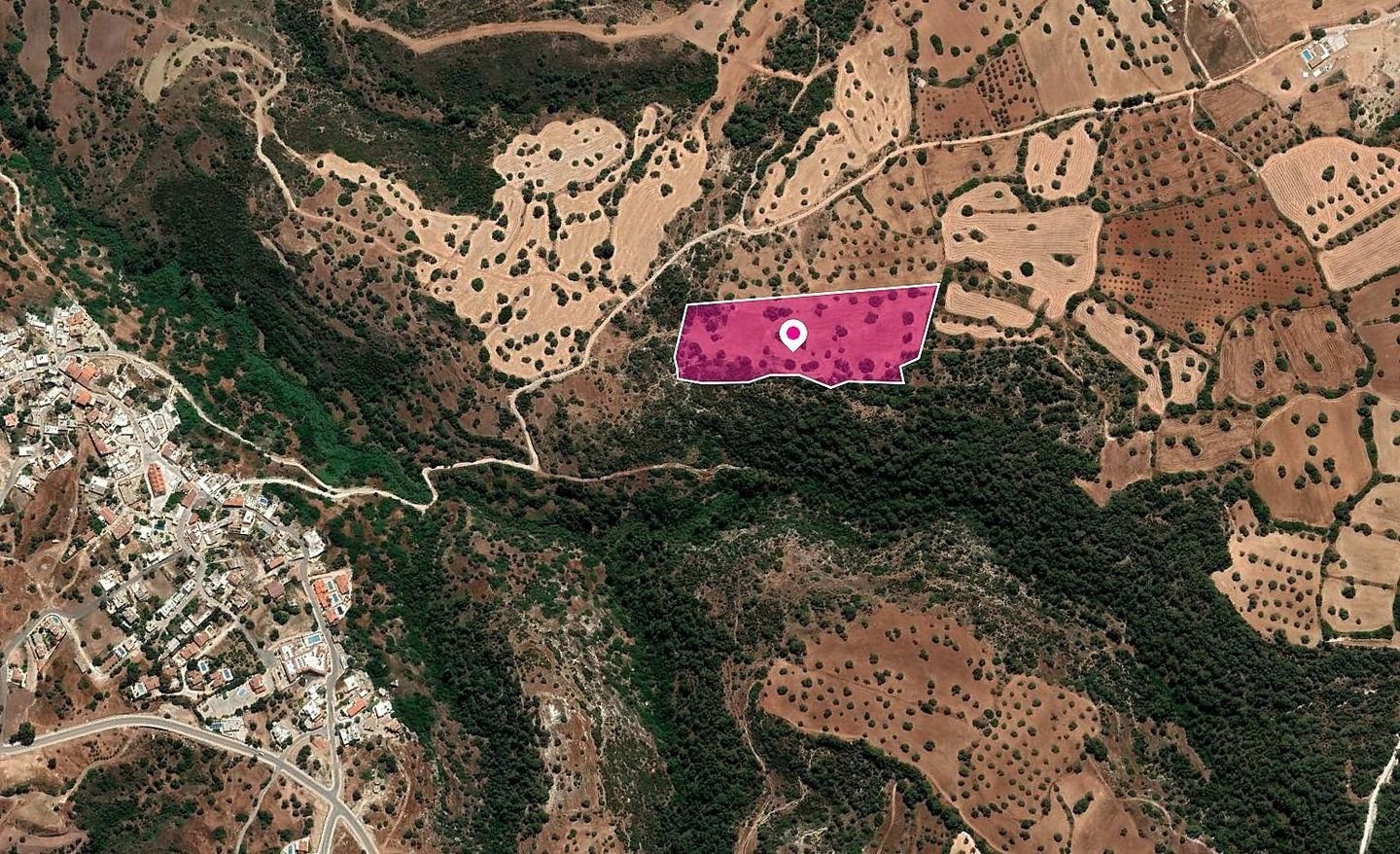 (Share) Field, Neo Chorio, Paphos photo 1