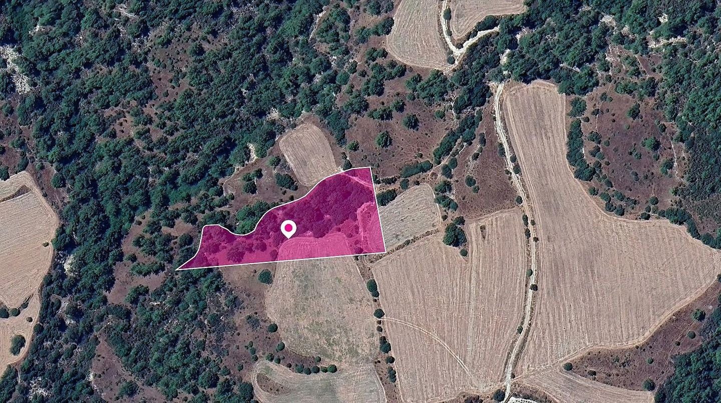 Field, Mousere, Paphos photo 1