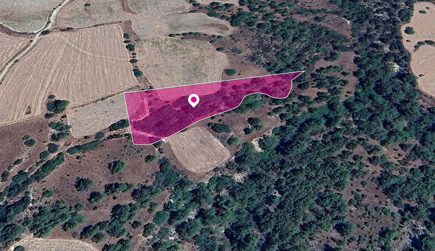 Field, Mousere, Paphos photo 3