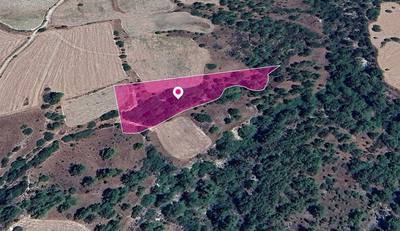 Field, Mousere, Paphos thumbnail 3