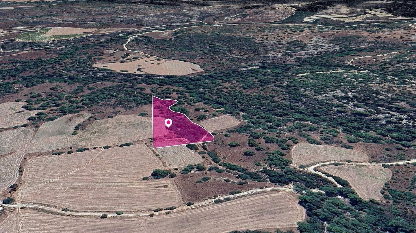 Field, Mousere, Paphos photo 2