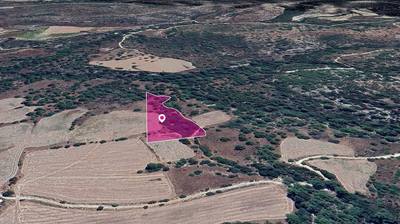 Field, Mousere, Paphos thumbnail 2
