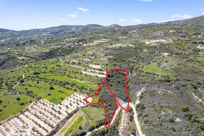 Shared agricultural fields in Arminou, Paphos thumbnail 3