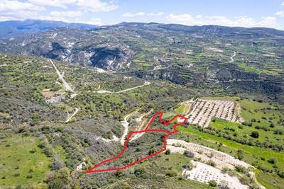 Shared agricultural fields in Arminou, Paphos thumbnail 4