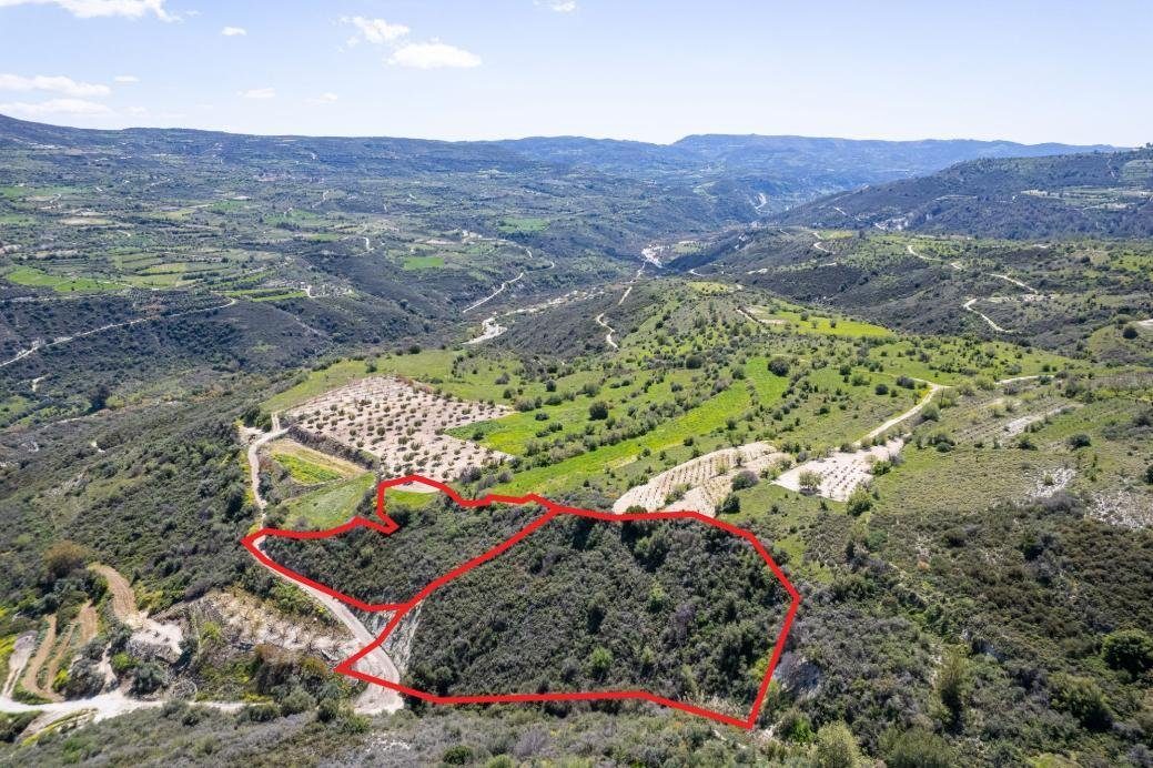 Shared agricultural fields in Arminou, Paphos photo 1