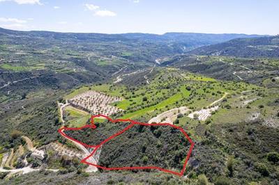 Shared agricultural fields in Arminou, Paphos thumbnail 1