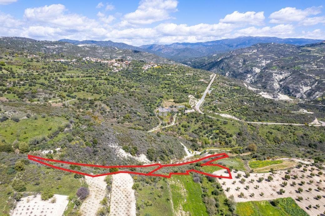 Shared agricultural fields in Arminou, Paphos photo 2