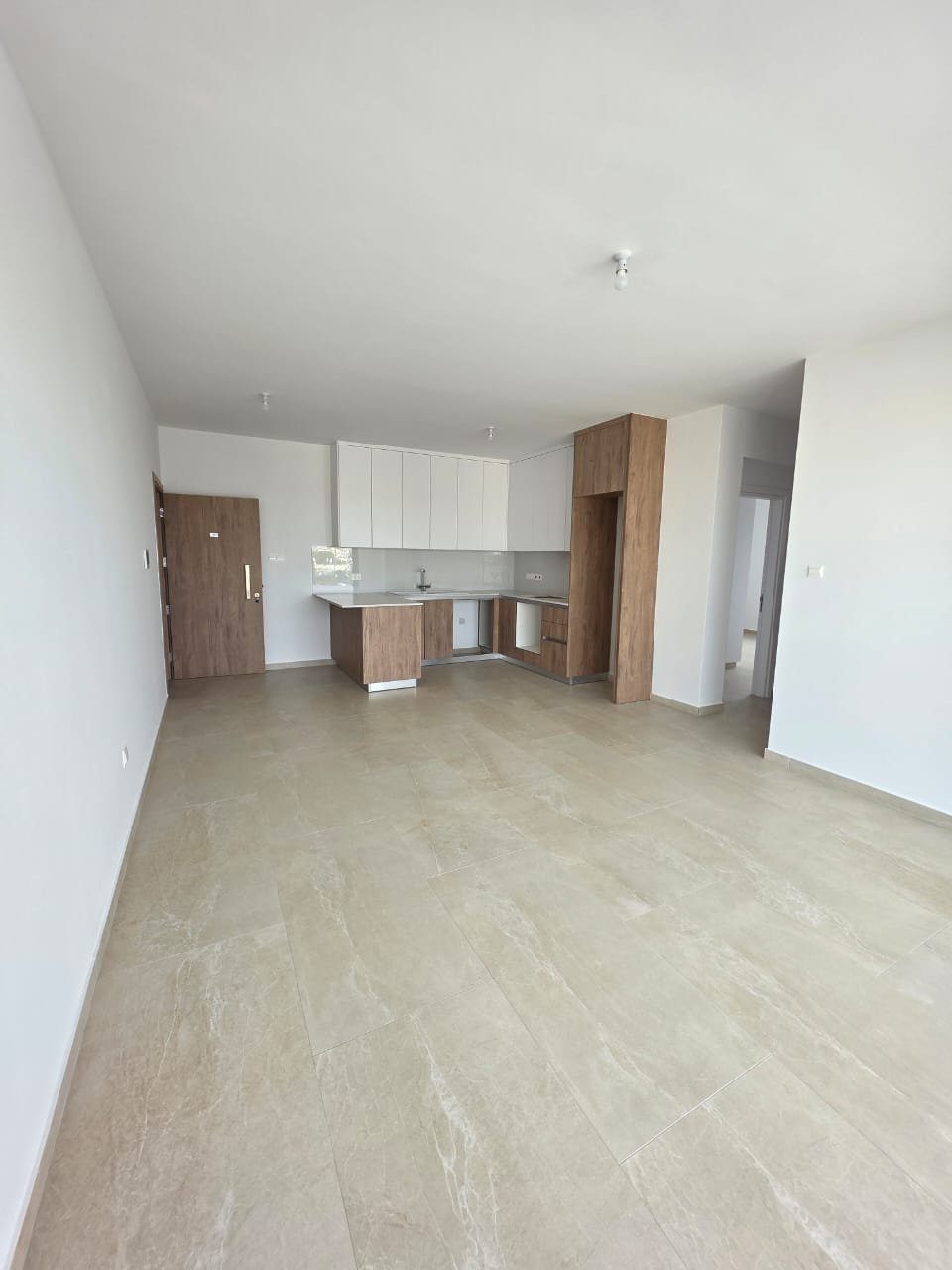 2 BR Penthouse in Kokkines, Larnaca photo 3