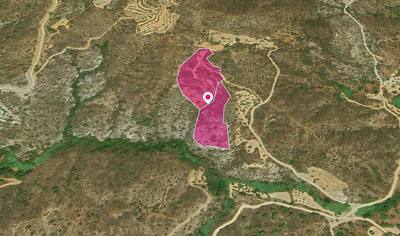 Fields in Vasa Kellakiou, Limassol thumbnail 1