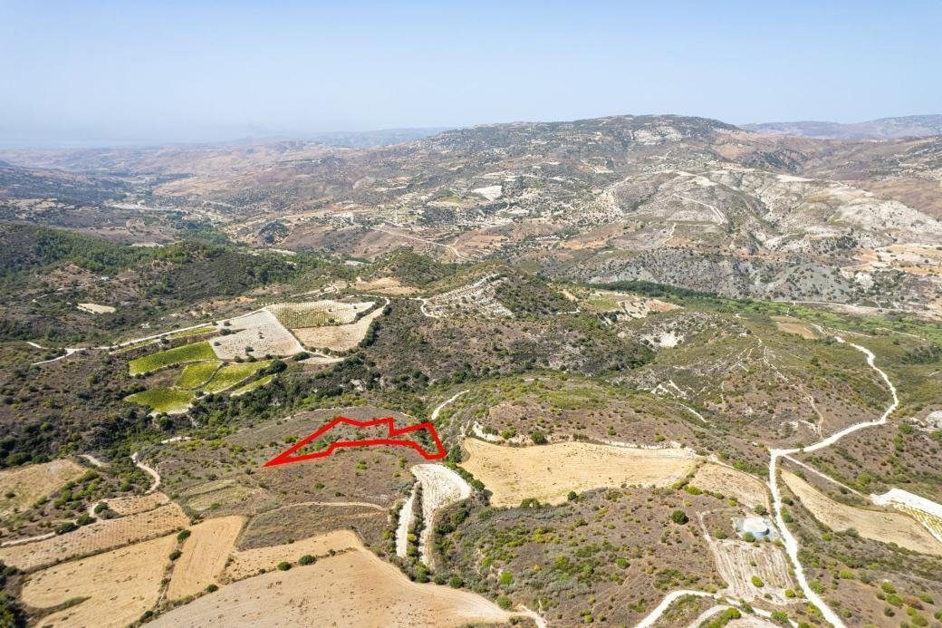 Field in Dora, Limassol photo 1