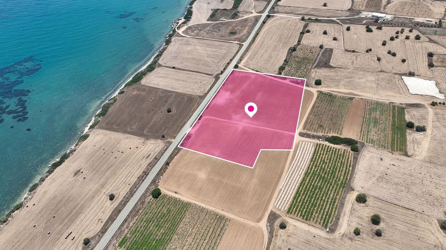 Field in Maroni, Larnaca — photo 4