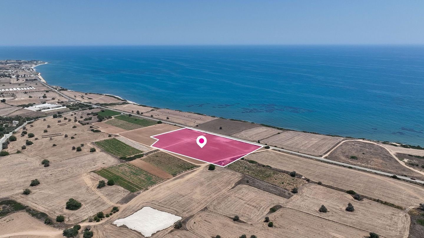 Field in Maroni, Larnaca — photo 3