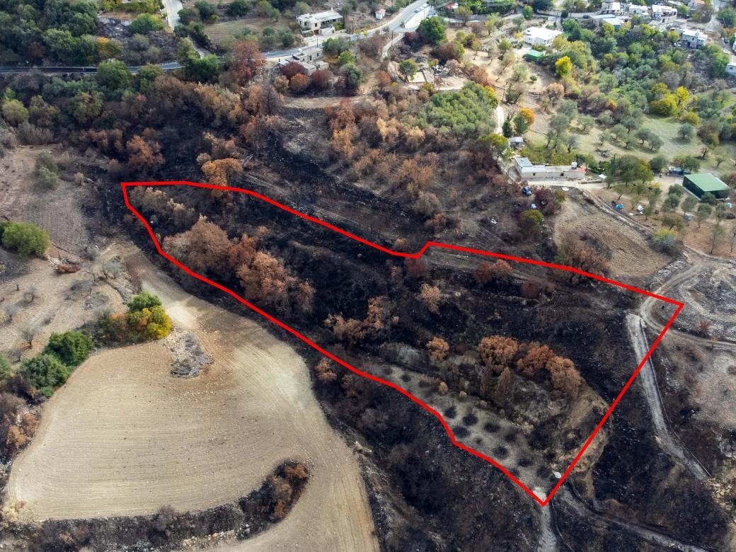 Agricultural Field in Drymou, Paphos photo 3