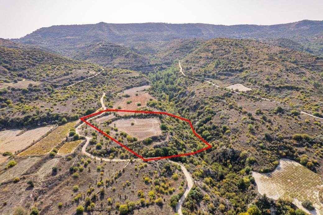 Field in Dora, Limassol photo 4