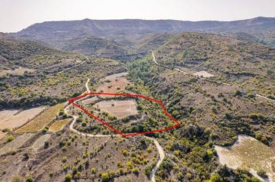 Field in Dora, Limassol thumbnail 4