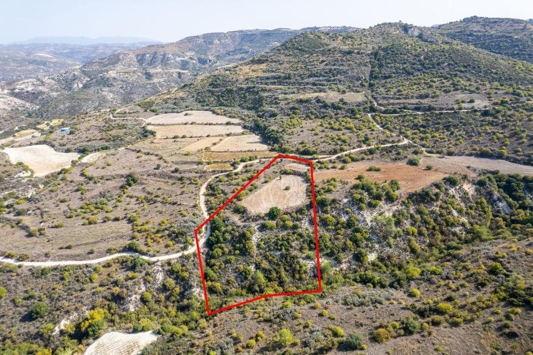 Field in Dora, Limassol photo 2