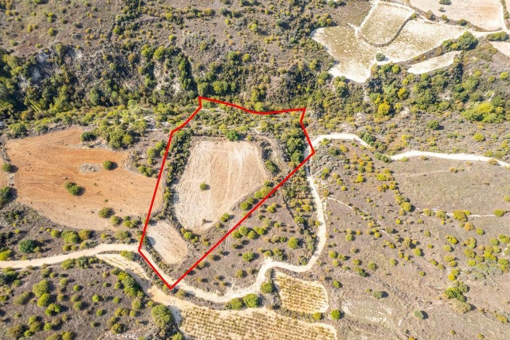 Field in Dora, Limassol photo 1