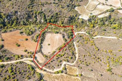 Field in Dora, Limassol thumbnail 1