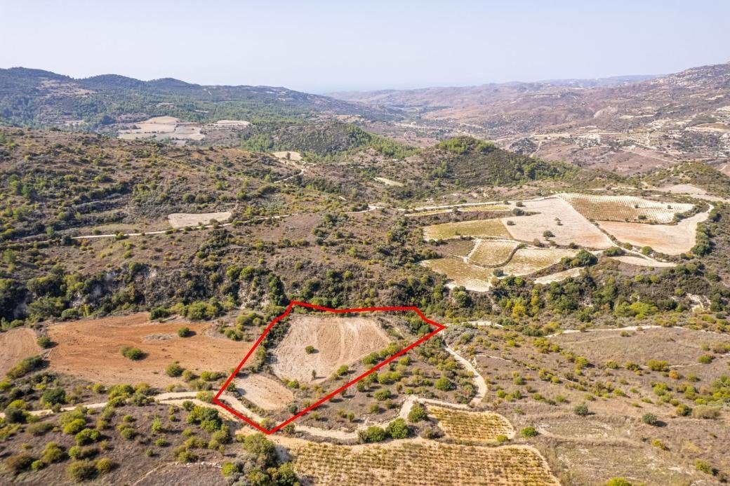 Field in Dora, Limassol photo 5