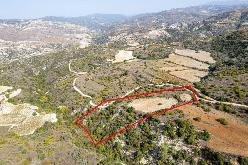 Field in Dora, Limassol photo 3
