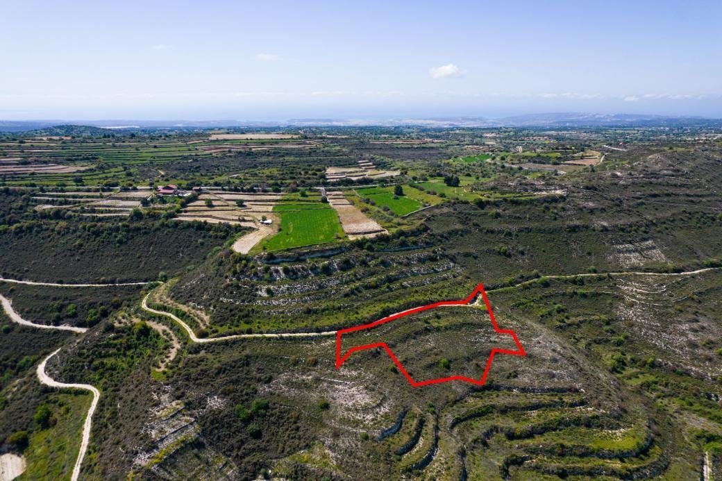 Agricultural field in Pachna, Limassol photo 3