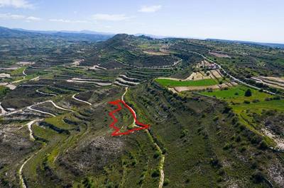 Agricultural field in Pachna, Limassol thumbnail 2