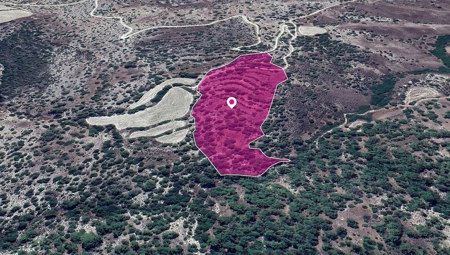 Agricultural Field in Amargeti, Paphos photo 3