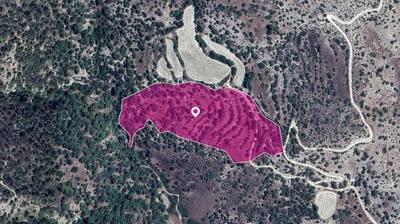 Agricultural Field in Amargeti, Paphos thumbnail 1