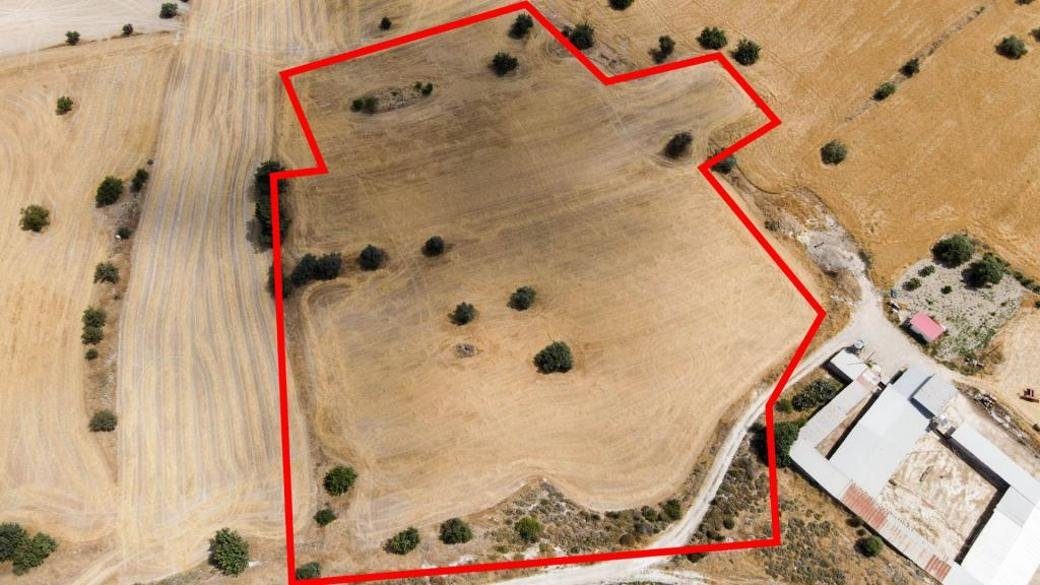 Shared residential field in Anglisides, Larnaca photo 2
