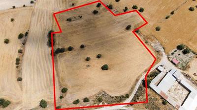 Shared residential field in Anglisides, Larnaca thumbnail 2