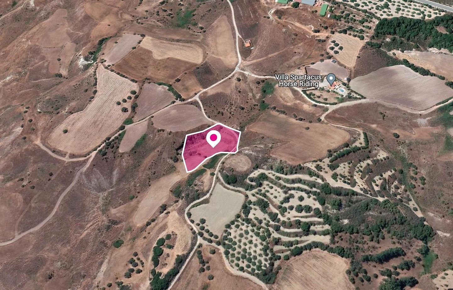 Agricultural field in Lasa, Paphos — photo 2
