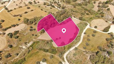 Field in Anglisides, Larnaca thumbnail 2