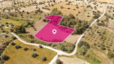 Field in Anglisides, Larnaca thumbnail 3