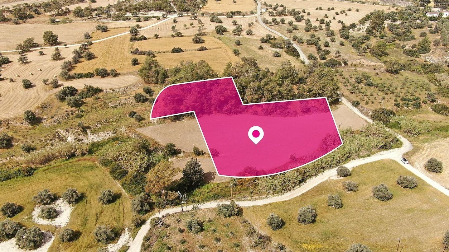 Field in Anglisides, Larnaca photo 4