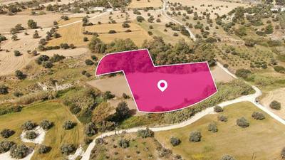 Field in Anglisides, Larnaca thumbnail 4