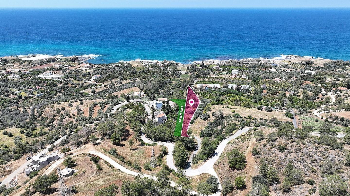 Residential Field in Nea Dimmata, Paphos photo 1