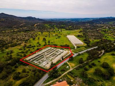 Field in Kornos, Larnaca thumbnail 1