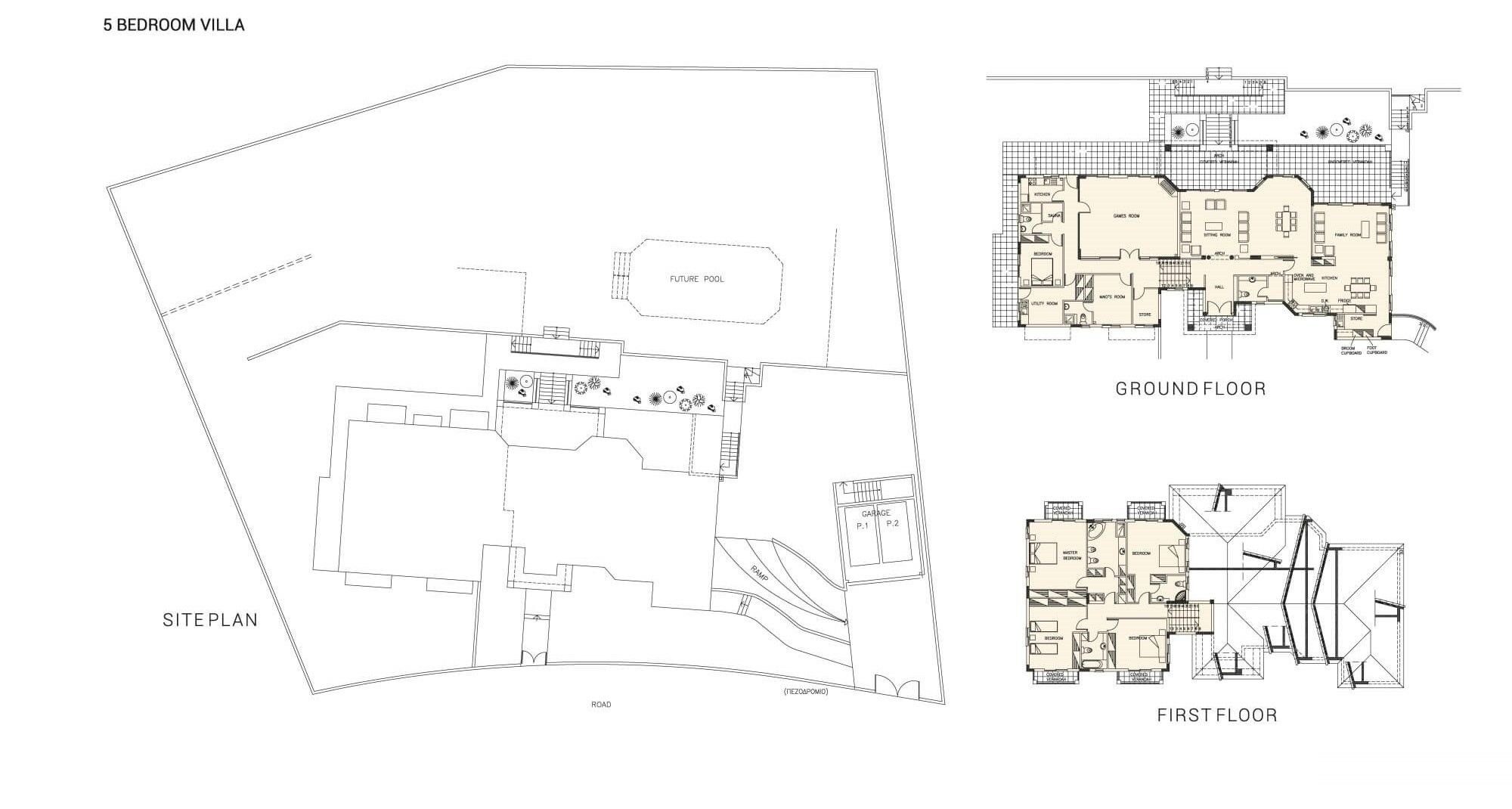 3 BR Villa in Kouklia, Paphos photo 3