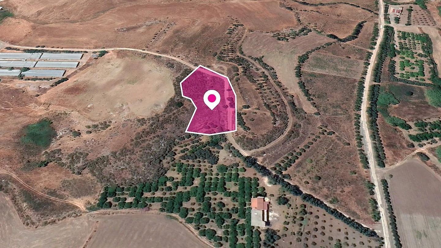 (Share) Residential field, Agia Varvara photo 3