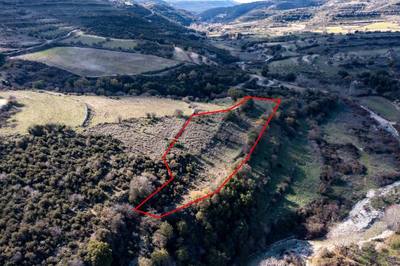 Field in Dora, Limassol thumbnail 3