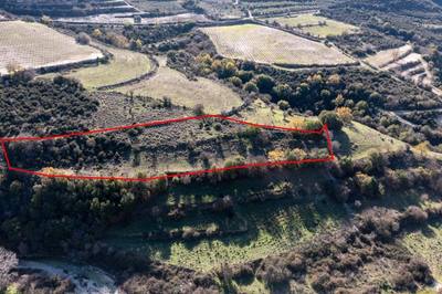 Field in Dora, Limassol thumbnail 1