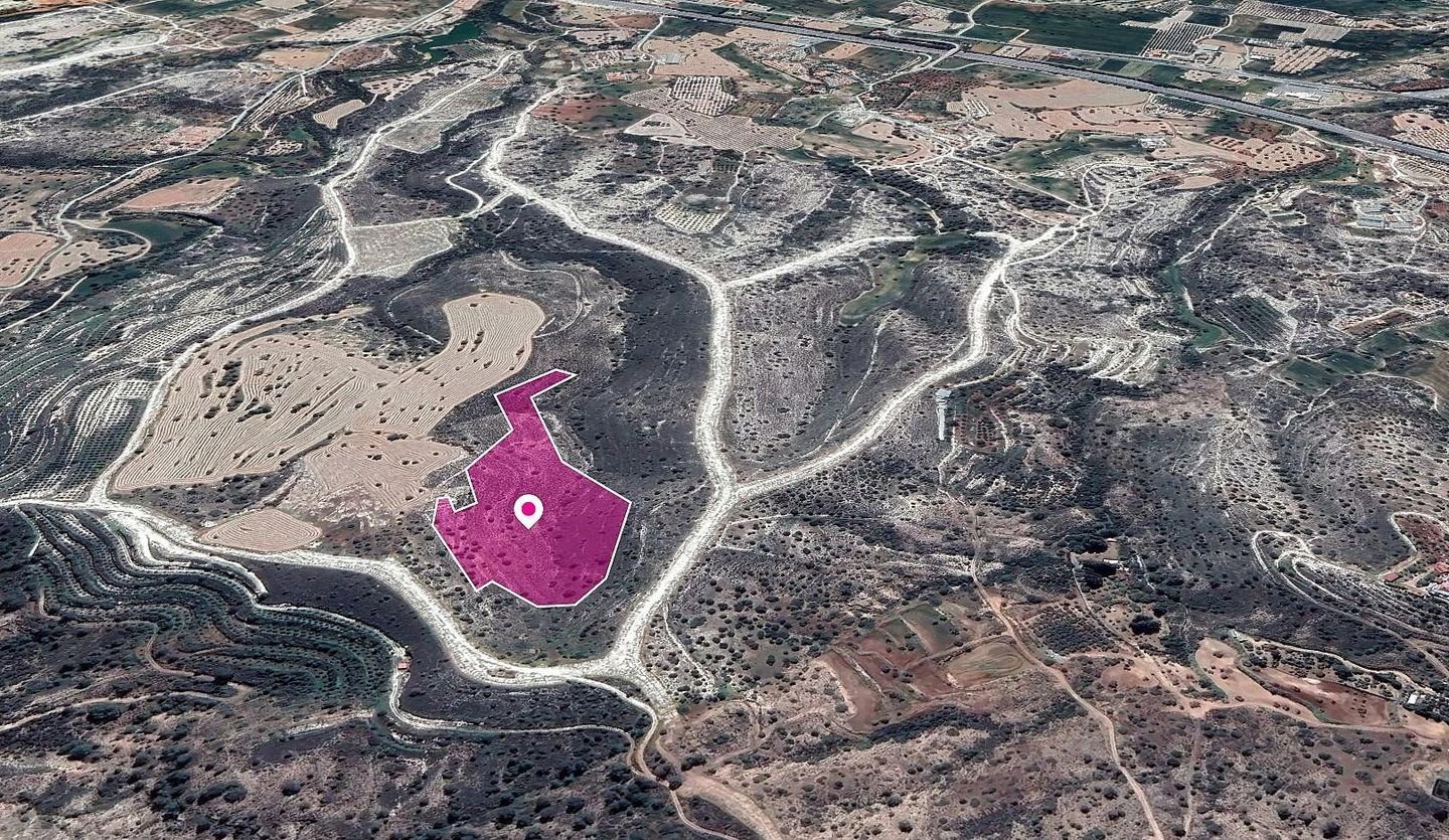 Field in Anglisides, Larnaca photo 1