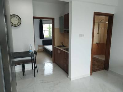 Квартира з 1 спальнею в Пейї, Пафос, мініатюра 3