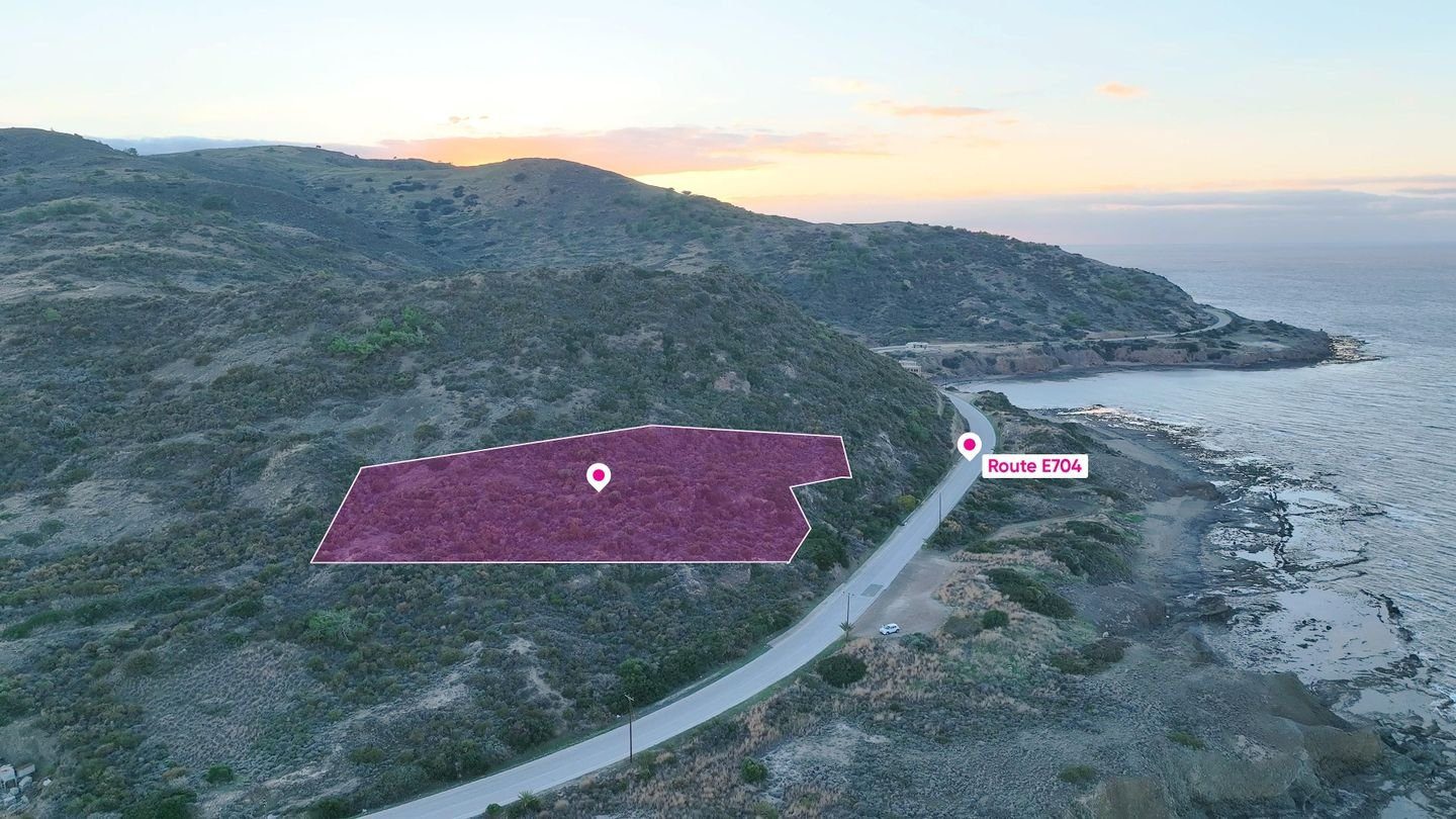 Residential field in Pigenia, Nicosia photo 1